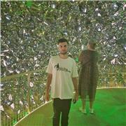 Profesor de germană sau de română în științe politice